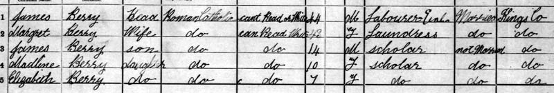 1901 census james berry tullamore