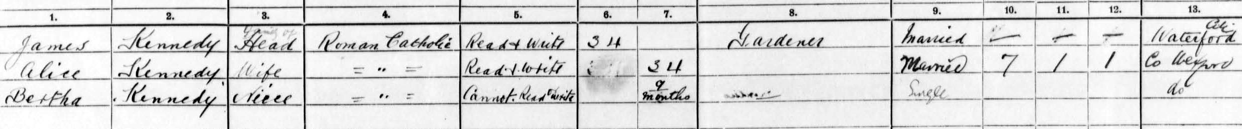 1911 census kennedy