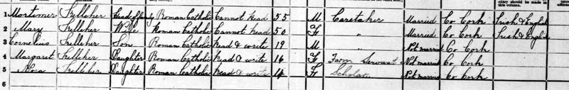 1901 census con rahillly