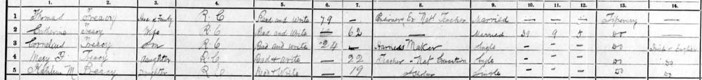 1911 census treacy family